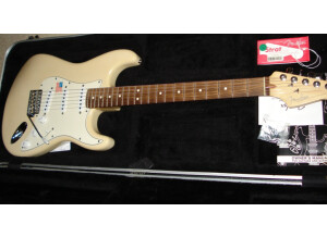 Fender Highway 1 Tm Series - Stratocaster Rw Honey Blonde
