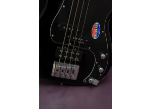 Diamond P-10