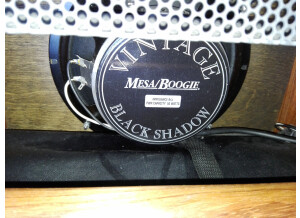 Mesa Boogie Express 5:25 1x10 Combo  (1313)