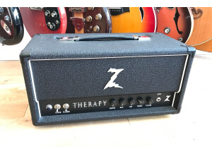Dr. Z Amplification Therapy (13690)
