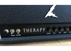 Dr. Z Amplification Therapy (92741)