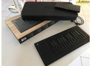ROLI Seaboard Rise 25 (9229)