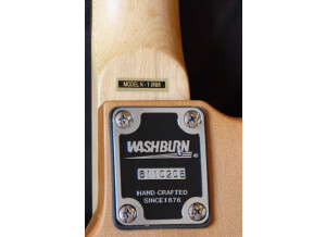 Washburn N1 (54689)