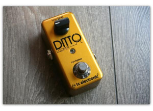 tc electronic ditto looper gold 950866