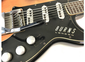 Burns Guitars split sound 6 strings bass (51850)