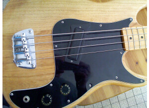 Peavey Fury (2428)