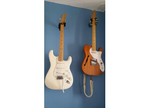 Fender Standard Stratocaster [2009-Current] (86039)