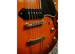 Gibson Es330 (5).JPG