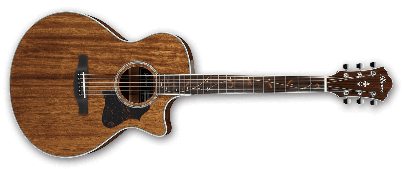 Ibanez AE245 : Ibanez AE245 (36524)