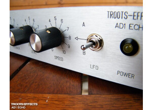 Troots-Effects AD1 Echo