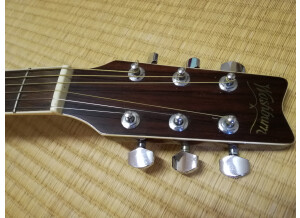 Music Man Luke (Vintage Tremolo) (29009)