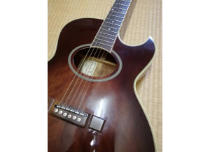 Music Man Luke (Vintage Tremolo) (42781)