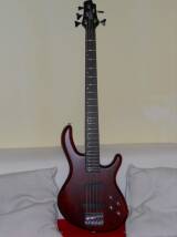 Cort Action V-A