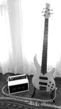 Phil Jones Bass Double Four BG-75