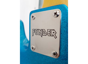 Fender Steve Harris Precision Bass (66241)