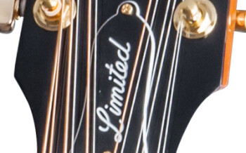 SSHB12N17 PLASTICS PANEL 02 SSHB12N17 PLASTICS PANEL 02