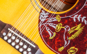 SSHB12N17 PLASTICS PANEL 01 SSHB12N17 PLASTICS PANEL 01