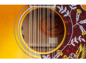 Gibson Hummingbird 12 String