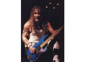 Fender Steve Harris Precision Bass (51285)