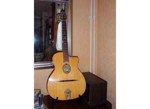 Alves De Puga (luthier) SL14 (71952)
