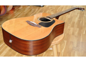 TAKAMINE P1DC 04.JPG
