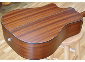 TAKAMINE P1DC 07.JPG