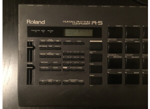 Roland R-5 (20653)