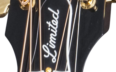 Gibson CF-100E Collectors Edition : Gibson CF-100E Collectors Edition (93680)