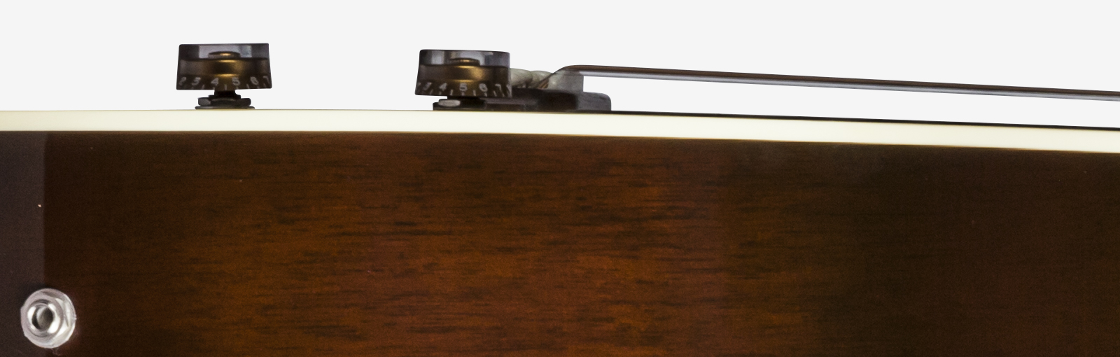 Gibson CF-100E Collectors Edition : Gibson CF-100E Collectors Edition (96311)