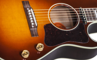 Gibson CF-100E Collectors Edition : Gibson CF-100E Collectors Edition (75890)