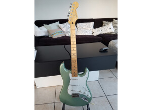 Fender Standard Stratocaster [2009-Current] (99090)