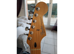 Fender Standard Stratocaster [2009-Current] (46195)