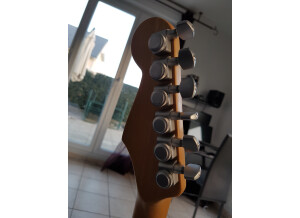 Fender Standard Stratocaster [2009-Current] (40815)