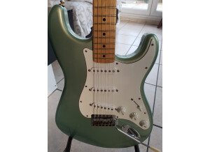 Fender Standard Stratocaster [2009-Current] (22313)