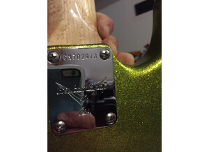 Fender Custom Shop Dick Dale Signature Stratocaster
