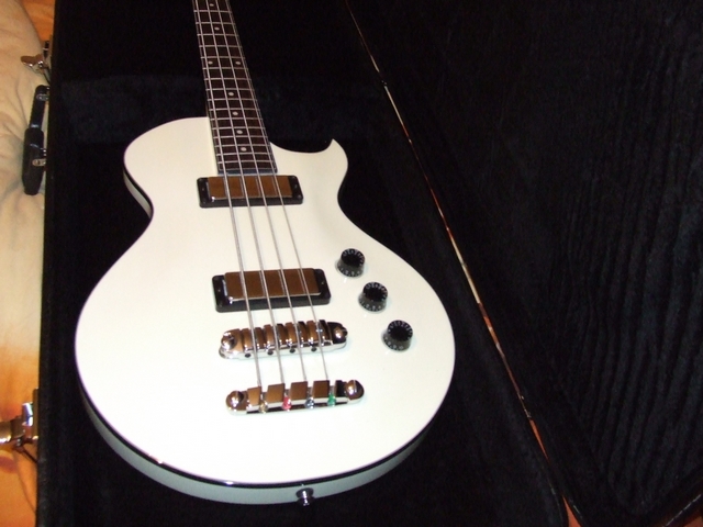 Ibanez ARTB100