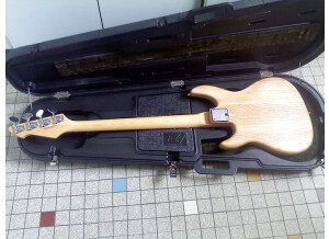 Peavey Fury (34091)