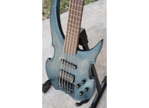 Warwick Vampyre SN5 Germany 5 String Bass and Roadcase  57 (1)