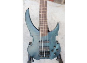 Warwick Vampyre SN5 Germany 5 String Bass and Roadcase  57