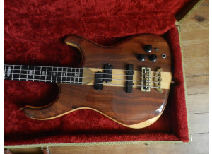 Alembic Orion