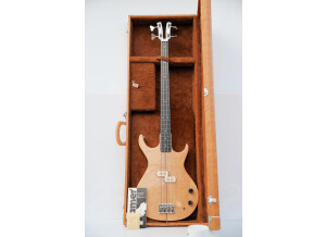 Fender Bassman Pro Bassman 810 Neo (46030)