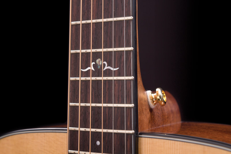 Cort Gold-D6 : Cort Gold-D6 (26158)