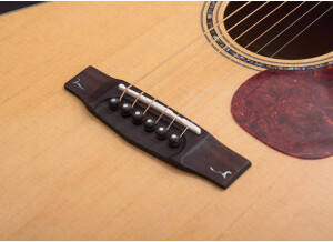 Cort Gold-D6 (57797)