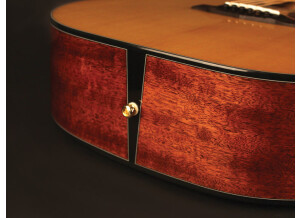 Cort Gold-D6 (25934)