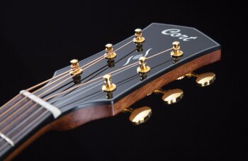 Cort Gold-D6 : Cort Gold-D6 (82015) Cort Gold-D6 : Cort Gold-D6 (82015)