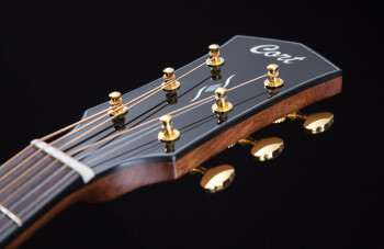 Cort Gold-D6 : Cort Gold-D6 (82015) Cort Gold-D6 : Cort Gold-D6 (82015)