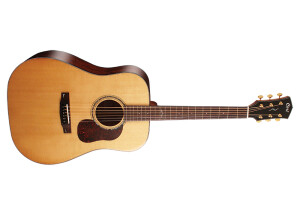 Cort Gold-D6 (44240)