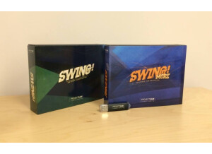 Project SAM Swing! More (6048)