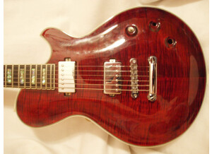 Michael Kelly Guitars Patriot Custom (78944)