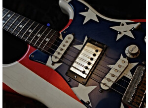 Fender Wayne Kramer Signature Strat